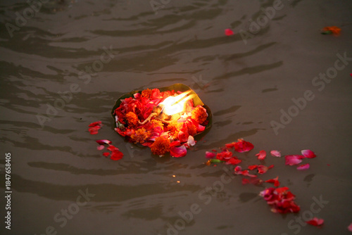 red rose petals floating in water