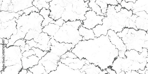 Black and white cracked texture with small dots and irregular lines grunge abstract