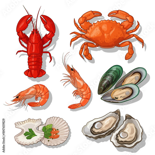Fresh Seafood Vector Illustration Set - Lobster, Crab, Shrimp, and Shellfish Collection