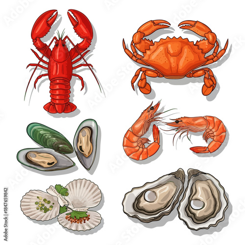 Fresh Seafood Vector Illustration Set - Lobster, Crab, Shrimp, and Shellfish Collection