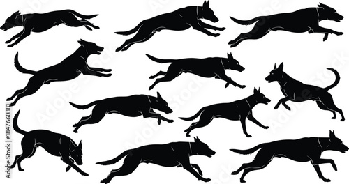 Set of active cheerleader silhouettes with pom-poms, isolated collection of energetic girls jumping, standing, and posing, female team members performing acrobatic movements and split jumps, vector.