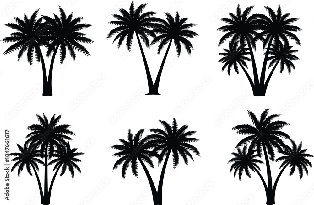 Fototapeta premium Collection of various palm tree cluster silhouettes perfect for tropical design elements
