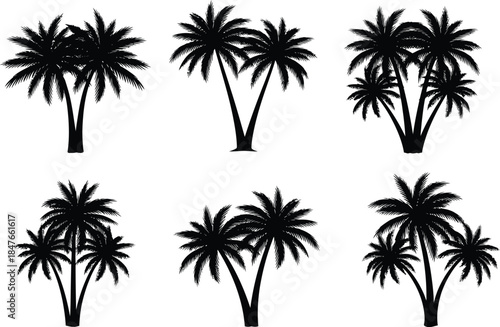 Collection of various palm tree cluster silhouettes perfect for tropical design elements