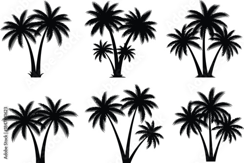 A set of six different black palm tree silhouettes for various design needs