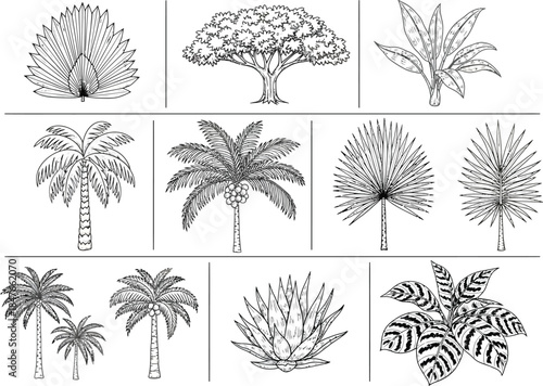 Nine different types of trees and shrubs in a collage illustration