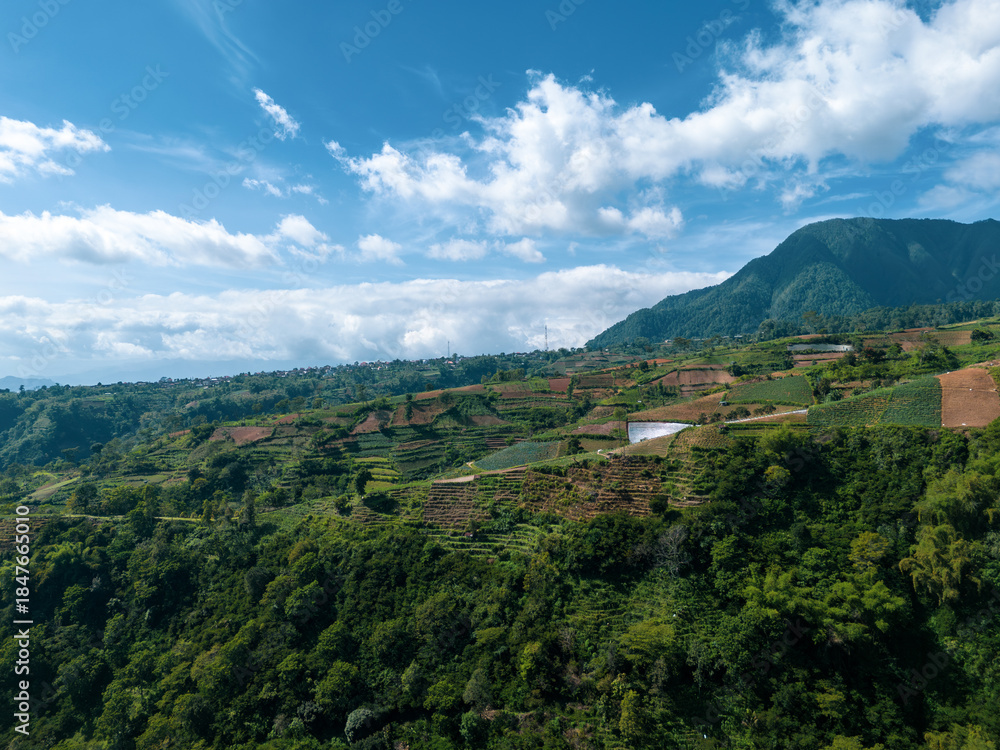 Naklejka premium Scenic aerial perspective of a narrow concrete road winding through terraced agricultural fields leading toward a majestic mountain peak.
