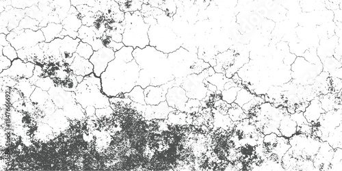 Cracked dry earth texture with dark patches and fine lines ground
