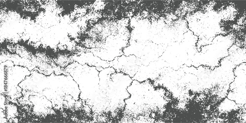 Cracked dry earth texture with dark grey irregular lines and speckles on white background