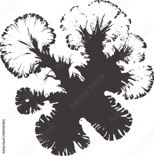 Symmetrical black and white abstract inkblot texture with jagged edges
