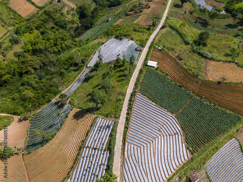 Scenic aerial perspective of a narrow concrete road winding through terraced agricultural fields leading toward a majestic mountain peak.