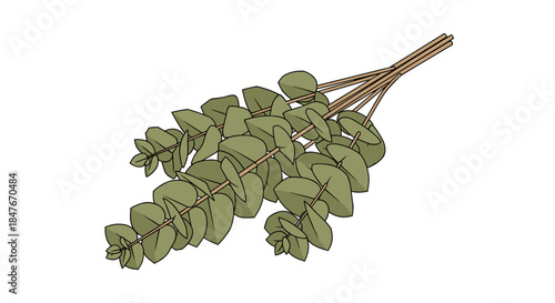 Illustration of a dried eucalyptus bunch artistically arranged and isolated on a white background, showcasing detailed green leaves and stems