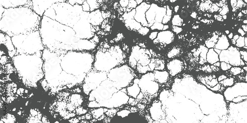 Dark gray cracked pattern on white background abstract texture black