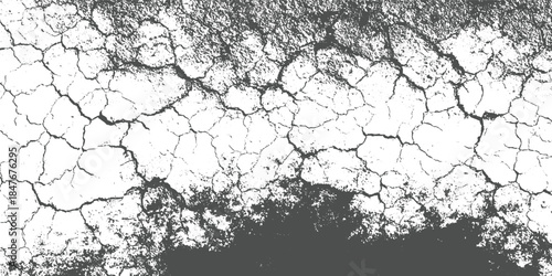 Cracked dry earth texture with dark and white contrast ground