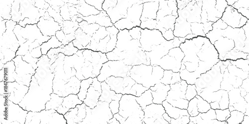 Black cracked texture on white background abstract pattern 2