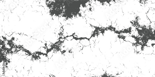 Dark gray cracked texture on white background with rough irregular patterns grunge