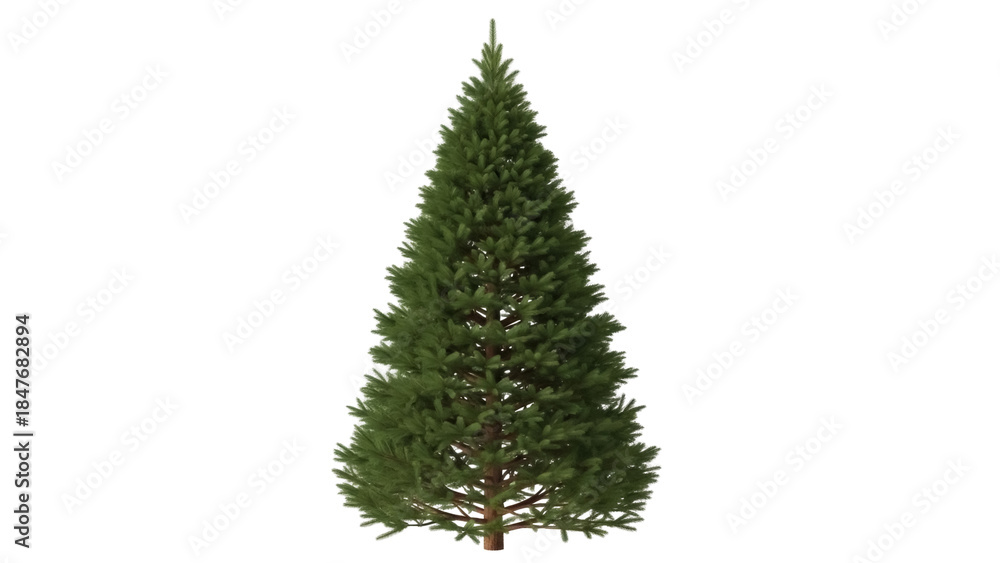 Obraz premium Isolated green realistic natural shaped Christmas tree against a clean background