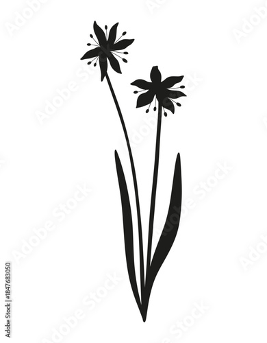 Snowdrops bouquet silhouette. Bunch of blooming two wildflowers with leaves, perennial wild plants, minimal style, black color. Botanical hand-drawn elements for design projects. Vector illustration