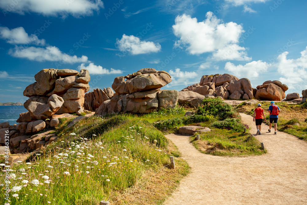 Fototapeta premium Pink granite coast in Ploumanac'h, France 