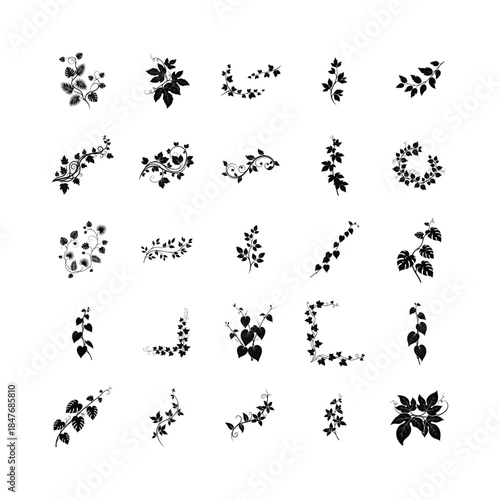 Decorative Vine and Leaf Silhouette Vector Set