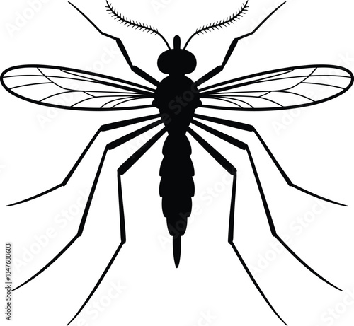 Detailed mosquito illustration with spread wings and long legs