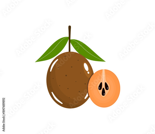 Sapodilla Fruit Whole and Half Slice (Manilkara zapota)