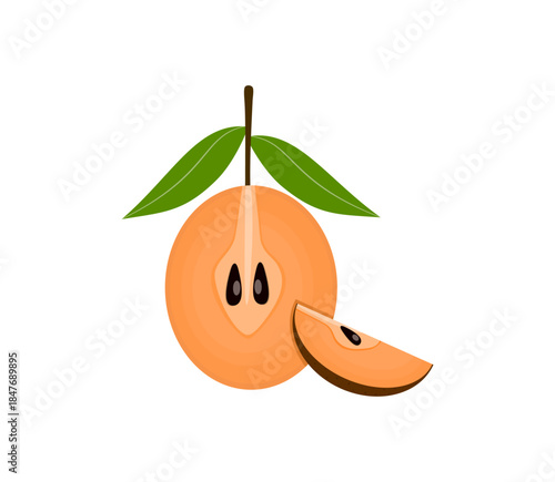 Organic Sapodilla Fruit Half Slice (Manilkara zapota)