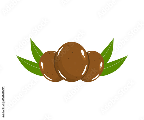 Three Sapodilla Fruits with Leaves Vector (Manilkara zapota)