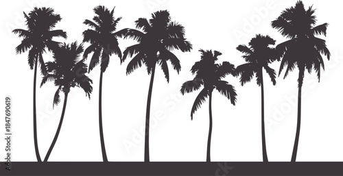 Black and white silhouettes of tropical palm trees horizon