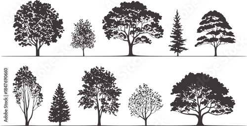 Black and white tree silhouette architectural elevation collection