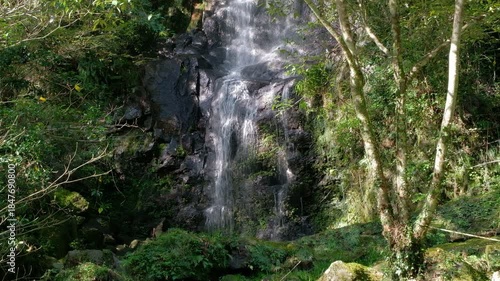 Takachiho Gorge in Takachiho, Miyazaki, Kyushu, Japan, Waterfall flowing through lush forest with mossy rocks and sunlight