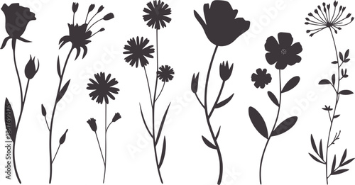 Minimalist black and white silhouette flowers collection