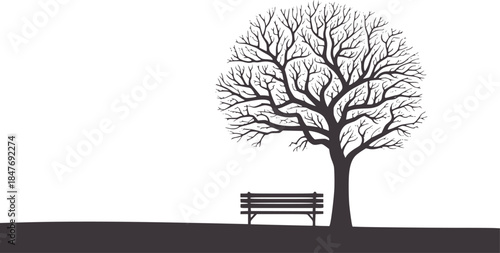 Silhouette of bare tree with bench in black and white