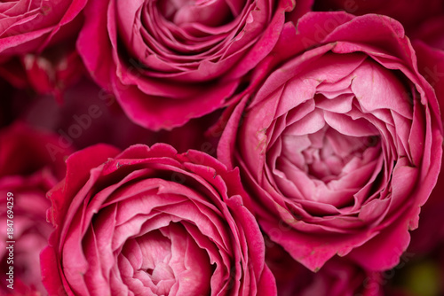 Bilde på lerret Close up of roses in bouquet.