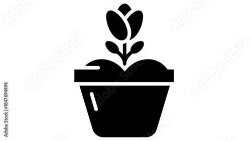 Minimalist Illustration of a Potted Plant with Growing Leaves and Buds in Black and White