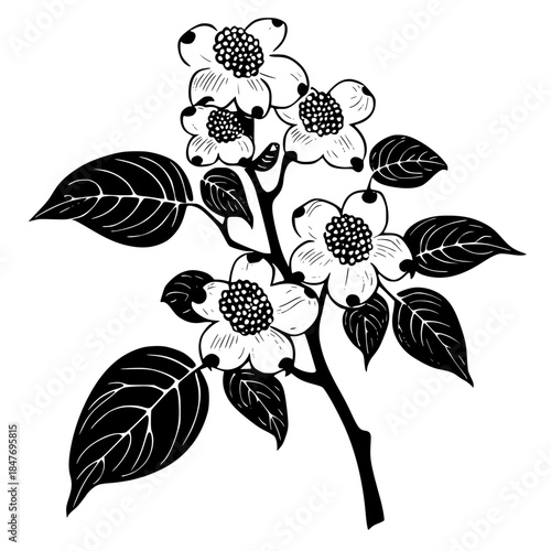 Silhouette Black White Kousa Dogwood Fruit Leaves | Clean, isolated vector art for creative projects.