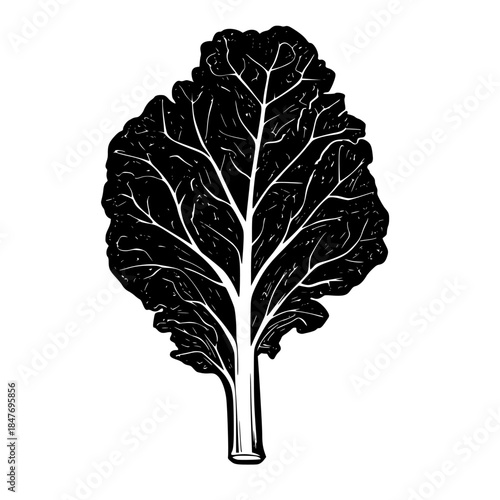 Monochromatic Artistry: Silhouette Lone Leafy Vegetable | Clean, isolated vector art for creative projects.