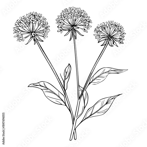 Silhouette Flowering Plant Black White | Clean, isolated vector art for creative projects.