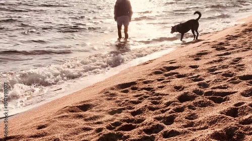 Person and Dog Enjoying Sunset While Walking Into Water