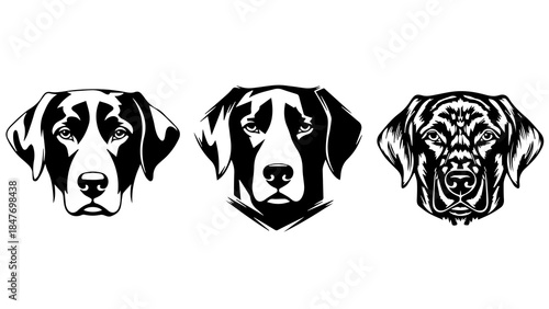 Stylized Dog Faces Representing Labrador, Shepherd, Retriever, and Spaniel Breeds