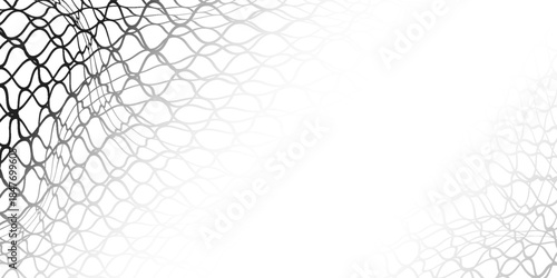 Net pattern. Rope net vector silhouette. Soccer, football, volleyball, tennis and tennis net pattern. Fisherman hunting net rope texture / pattern.