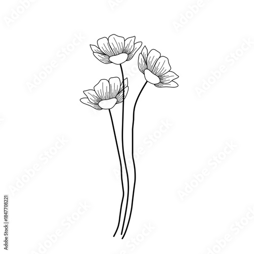 Minimalist line art flower illustration. Minimalist flower illustration. Flower vector illustration. Beautiful flower design