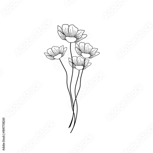 Minimalist line art flower illustration. Minimalist flower illustration. Flower vector illustration. Beautiful flower design