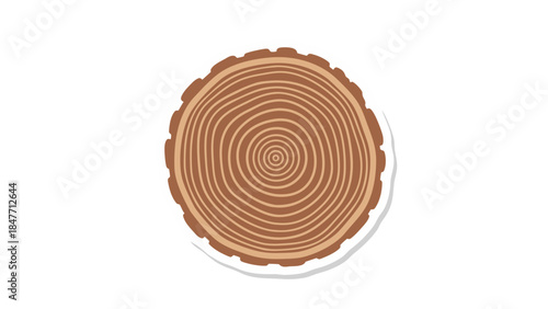 chocolate cake isolated on white