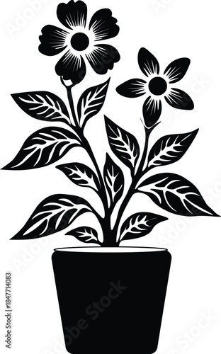 Black and white silhouette of a potted flowering plantBlack and white silhouette of a potted flowering plant