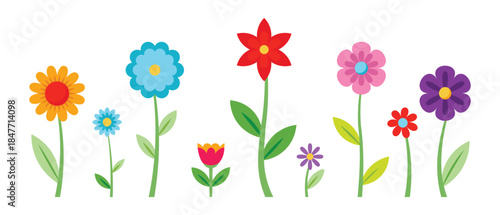colorful flat flower collection spring garden floral illustration set isolated on white background
