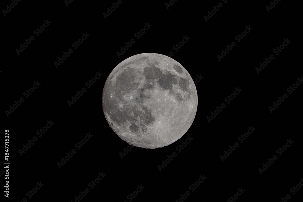 Obraz premium Full moon at night