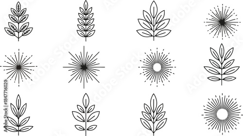 Collection of minimalist black line art botanical leaf sprigs and abstract sunburst star ray icons perfect for modern rustic branding and design elements