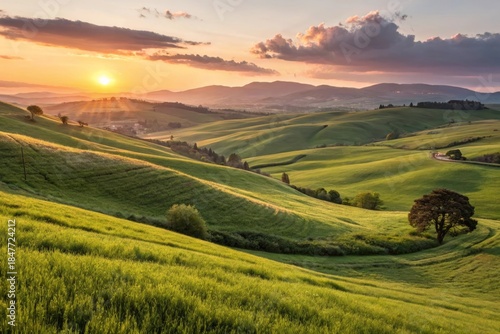 Captivating golden hour sunlight bathing rolling green hills scenic landscape photography nature environment wide-angle view serene atmosphere