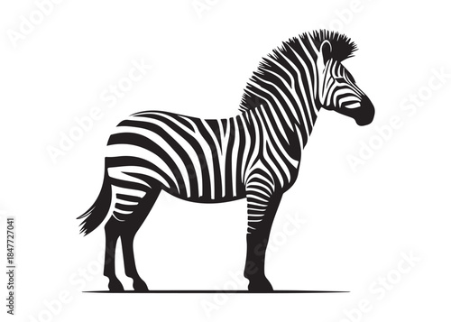 zebra logo vector silhouette, zebra silhouette vector illustration, african zebra logo vector silhouette, black zebra vector, wild animals zebra logo silhouettes vector on white background