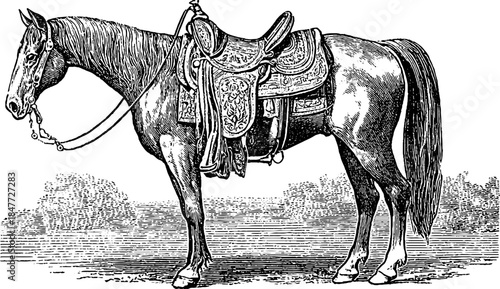 Vintage equestrian rider with saddle engraving for retro horseback design